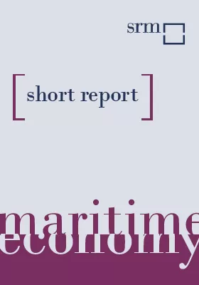 L'impatto delle mega navi